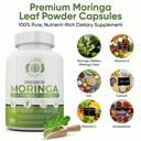 moringa-capsules-100-pure-moringa-powder-3.jpg