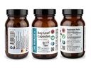 dr-wakde-s-bay-leaf-capsules-cinnamomum--3.jpg
