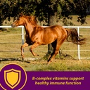 horse-health-red-cell-liquid-vitamin-iro-3.jpg