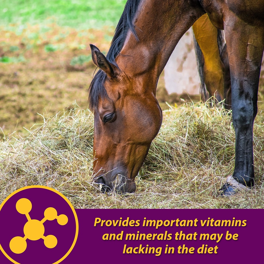 horse-health-red-cell-liquid-vitamin-iro-5.jpg