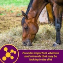 horse-health-red-cell-liquid-vitamin-iro-5.jpg