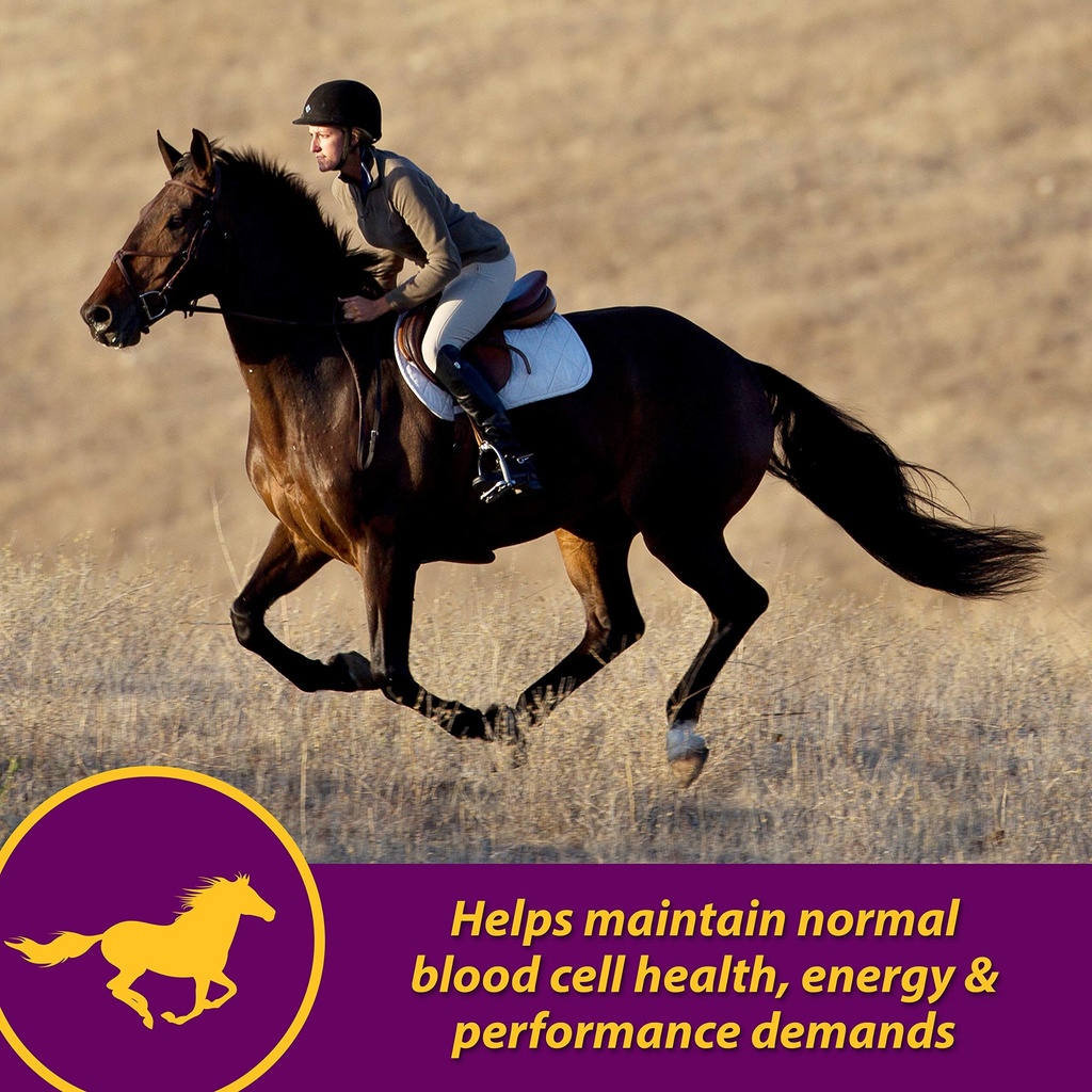 farnam-horse-health-red-cell-liquid-vita-2.jpg