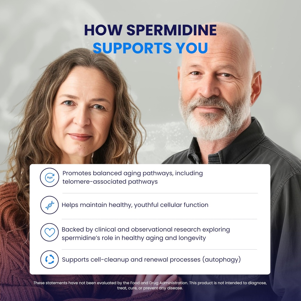 ultimate-spermidine-supplements-for-men--4.jpg