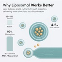 vida-lifescience-liposomal-nad-liquid-su-3.jpg