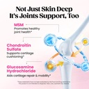 venture-pal-multi-collagen-protein-powde-5.jpg