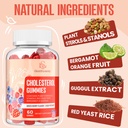 plant-sterols-supplement-with-plant-ster-3.jpg