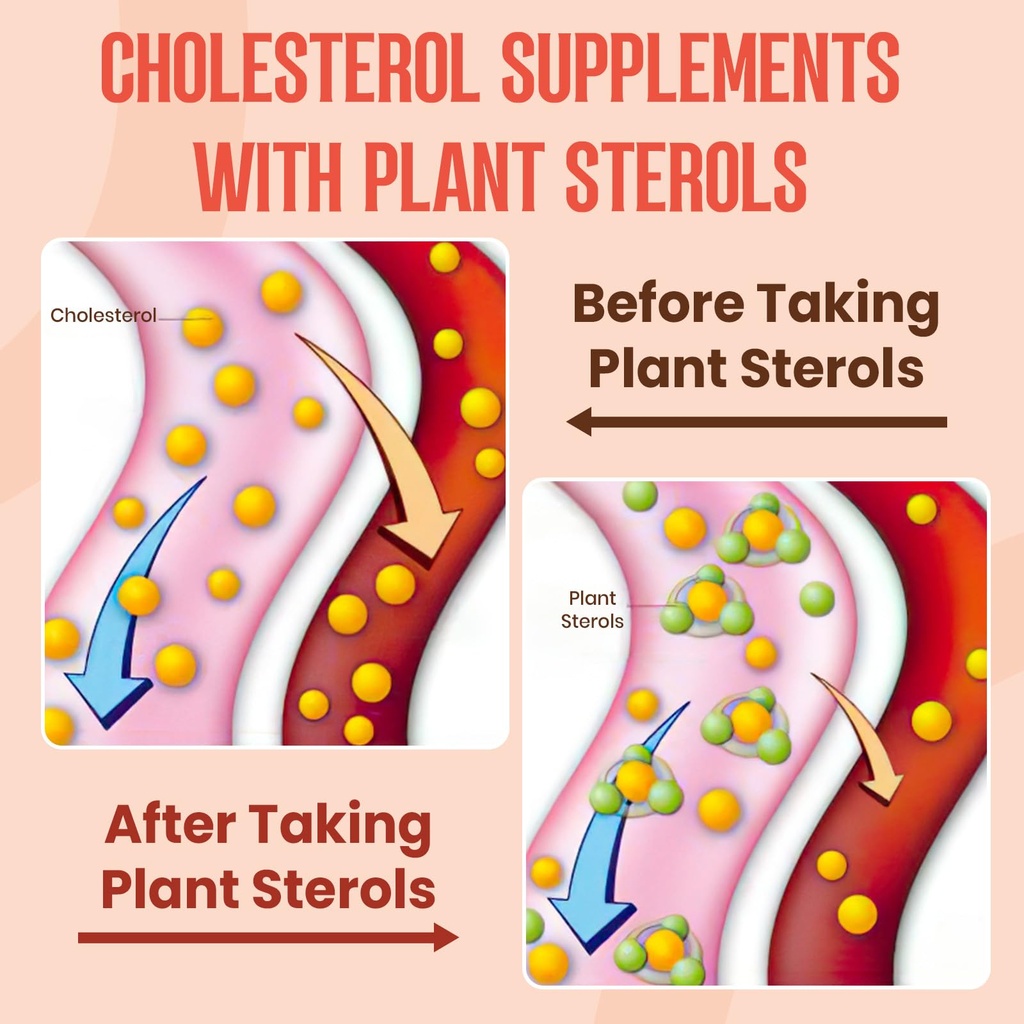 plant-sterols-supplement-with-plant-ster-4.jpg