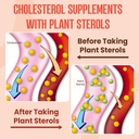 plant-sterols-supplement-with-plant-ster-4.jpg