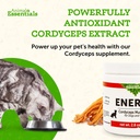 animal-essentials-energy-cordyceps-mushr-5.jpg