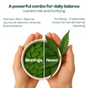 moringa-oleifera-leaf-nutritional-supple-3.jpg
