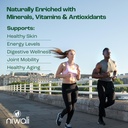 moringa-oleifera-leaf-nutritional-supple-4.jpg
