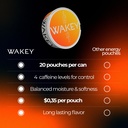 wakey-energy-caffeine-pouches-50mg-caffe-5.jpg