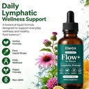 elavyn-flow-by-elavyn-lymphatic-drainage-6.jpg