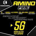 forzagen-amino-fire-essential-amino-ener-4.jpg