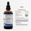 secrets-of-the-tribe-kelp-usda-organic-a-4.jpg