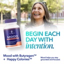 mood-balance-support-supplement-emotiona-6.jpg