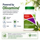 mccord-immunehealth-olive-leaf-extract-v-4.jpg