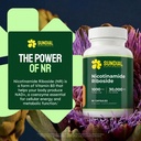 nicotinamide-riboside-nr-1000mg-vitamin--2.jpg