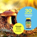 american-biosciences-immpowerd3-ahcc-vit-3.jpg