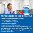 kidney-shield-2-pack-kidney-support-supp-3.jpg