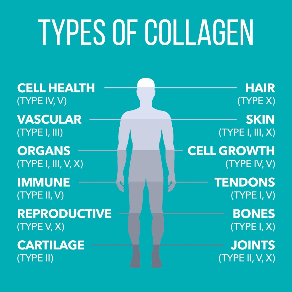 naturesplus-collagen-peptides-chocolate--4.jpg
