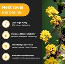 nutrachamps-fish-oil-berberine-capsules-5.jpg