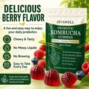 jevawell-kombucha-gummies-probiotic-dige-2.jpg