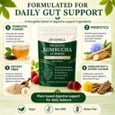 jevawell-kombucha-gummies-probiotic-dige-3.jpg