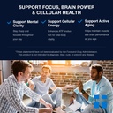 opti-brain-health-bundle-creatine-pills--6.jpg