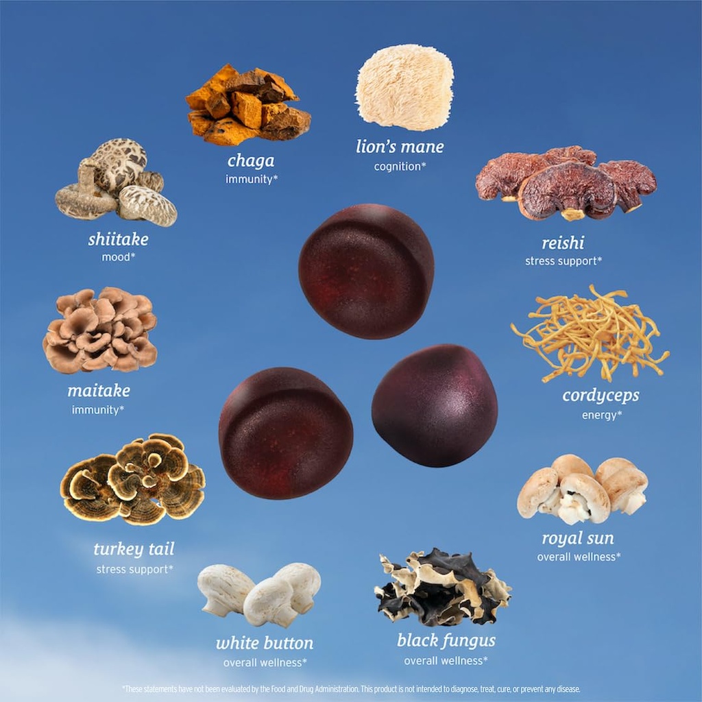 sunmed-all-in-one-mushroom-gummy-supplem-4.jpg