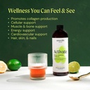 ameo-life-fulvic-acid-mineral-complex-ce-2.jpg