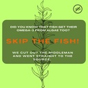 vegetarian-heaven-omega-3-algae-oil-gumm-3.jpg