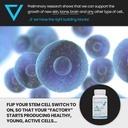 stem-cell-renew-boost-your-natural-suppl-5.jpg