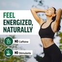 force-factor-modern-moringa-powder-to-su-4.jpg