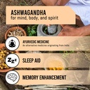 ebysu-ashwagandha-1-300mg-180-ashwagandh-2.jpg
