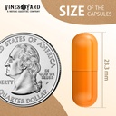 plant-based-empty-capsules-size-00-1000--2.jpg