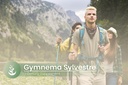 pure-original-ingredients-gymnema-sylves-5.jpg