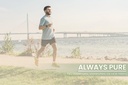 pure-original-ingredients-gymnema-sylves-6.jpg