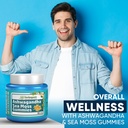 herboganic-ashwagandha-sea-moss-gummies--6.jpg