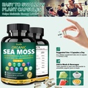 sea-moss-capsules-11-in-1-for-energy-boo-4.jpg