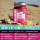 wellness-labsrx-irish-sea-moss-gel-raw-w-6.jpg