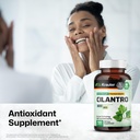 bio-krauter-cilantro-for-detox-cleanse-v-2.jpg
