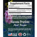 energy-and-focus-supplement-mucuna-pruri-5.jpg