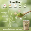 organic-herb-moringa-leaf-powder-100-pur-4.jpg