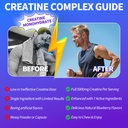 creatine-monohydrate-gummies-for-men-wom-5.jpg