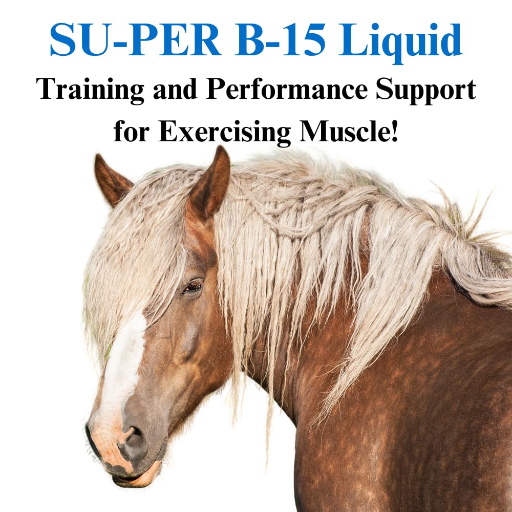 su-per-b-15-vitamin-supplement-for-horse-3.jpg