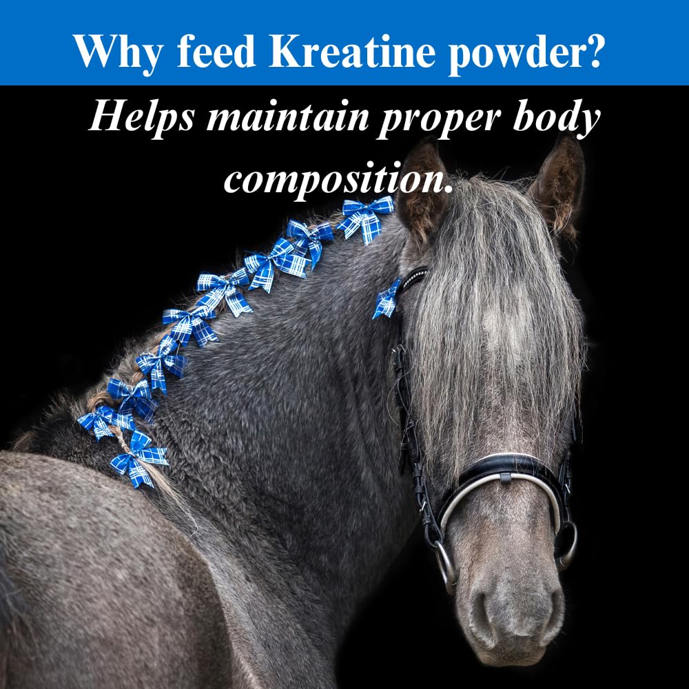 su-per-kreatine-energy-horse-supplement--5.jpg
