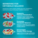 purehealth-research-berberine-organic-be-4.jpg