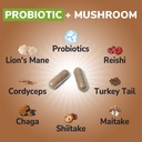 vitalibre-probiotics-mushroom-with-lion--4.jpg