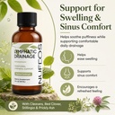 nuflos-lymphatic-drainage-drops-organic--6.jpg